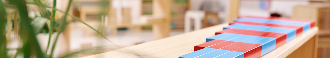 Montessori Yöntemi