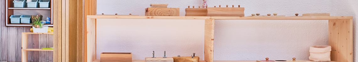 Montessori Yöntemi
